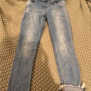 Lucky Brand Blue Bridgette straight leg Jeans size 4